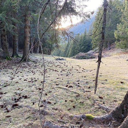 Do-Minus Mountain Cottage&mini spa Monte Carasso Esterno foto
