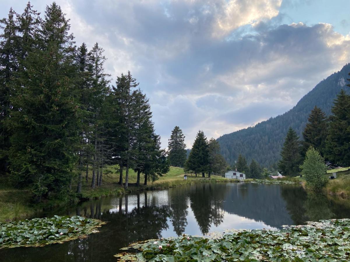 Do-Minus Mountain Cottage&mini spa Monte Carasso Esterno foto