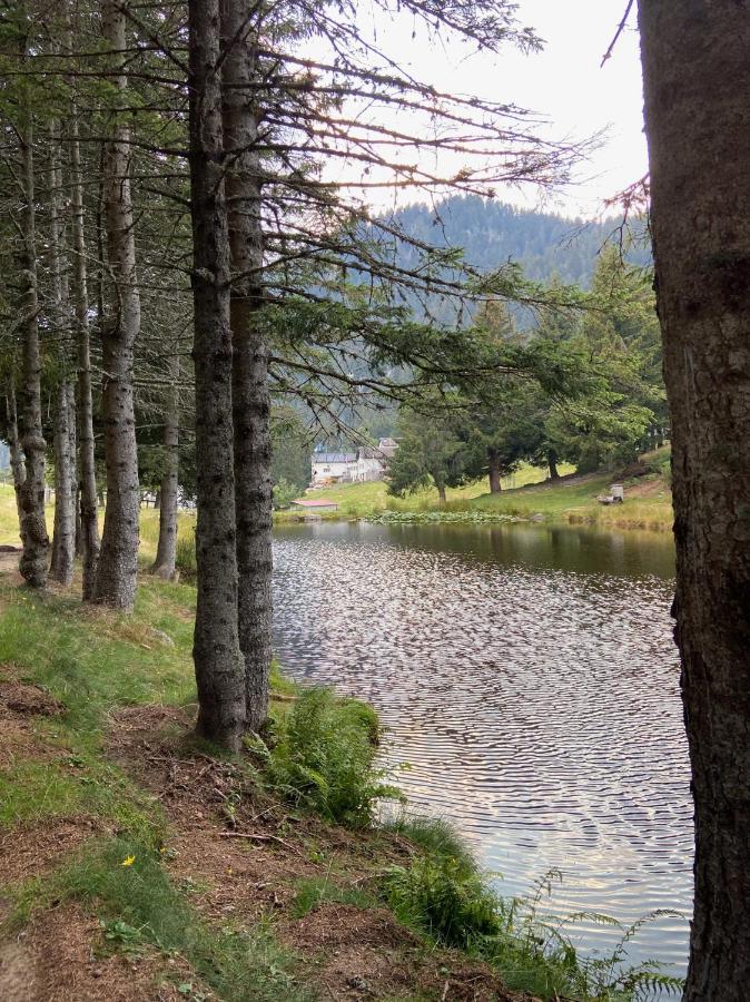 Do-Minus Mountain Cottage&mini spa Monte Carasso Esterno foto