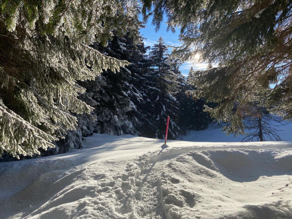 Do-Minus Mountain Cottage&mini spa Monte Carasso Esterno foto