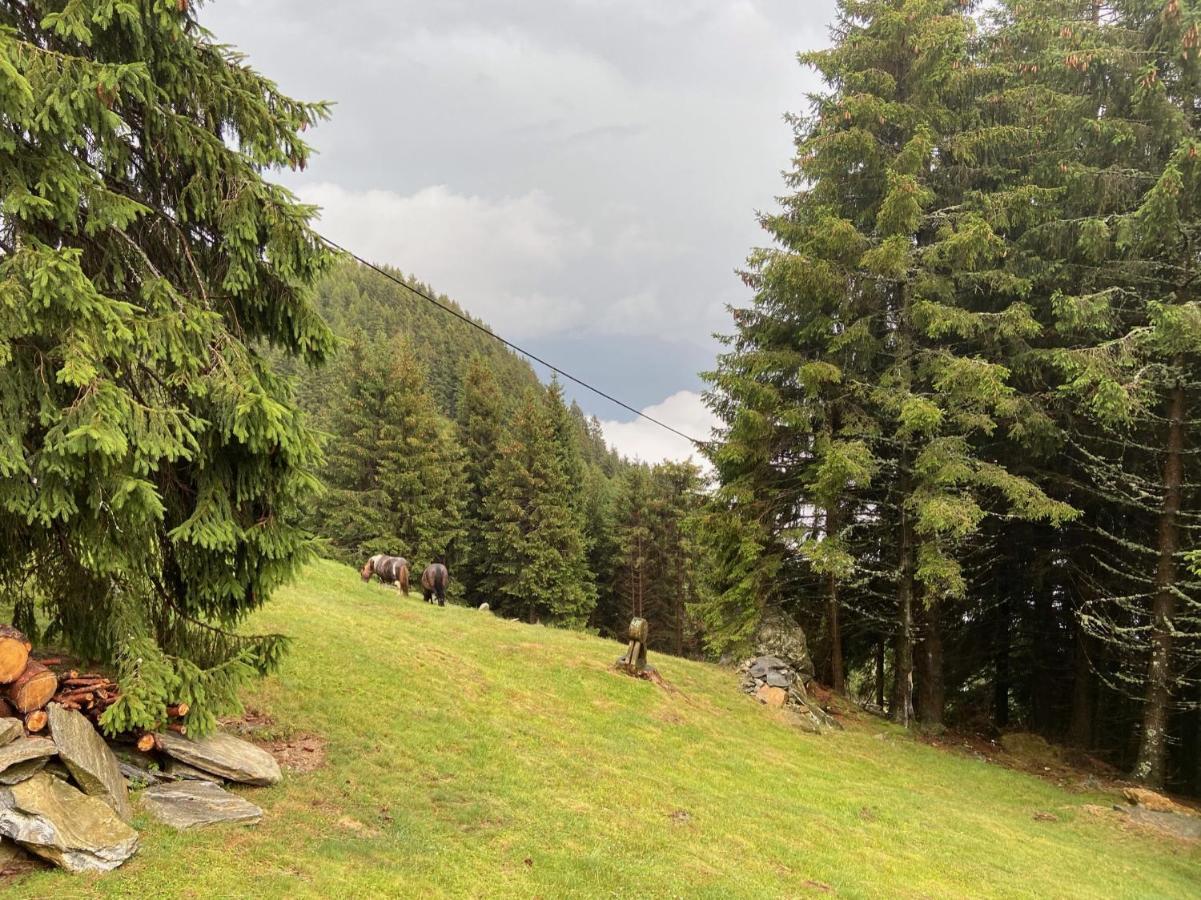 Do-Minus Mountain Cottage&mini spa Monte Carasso Esterno foto