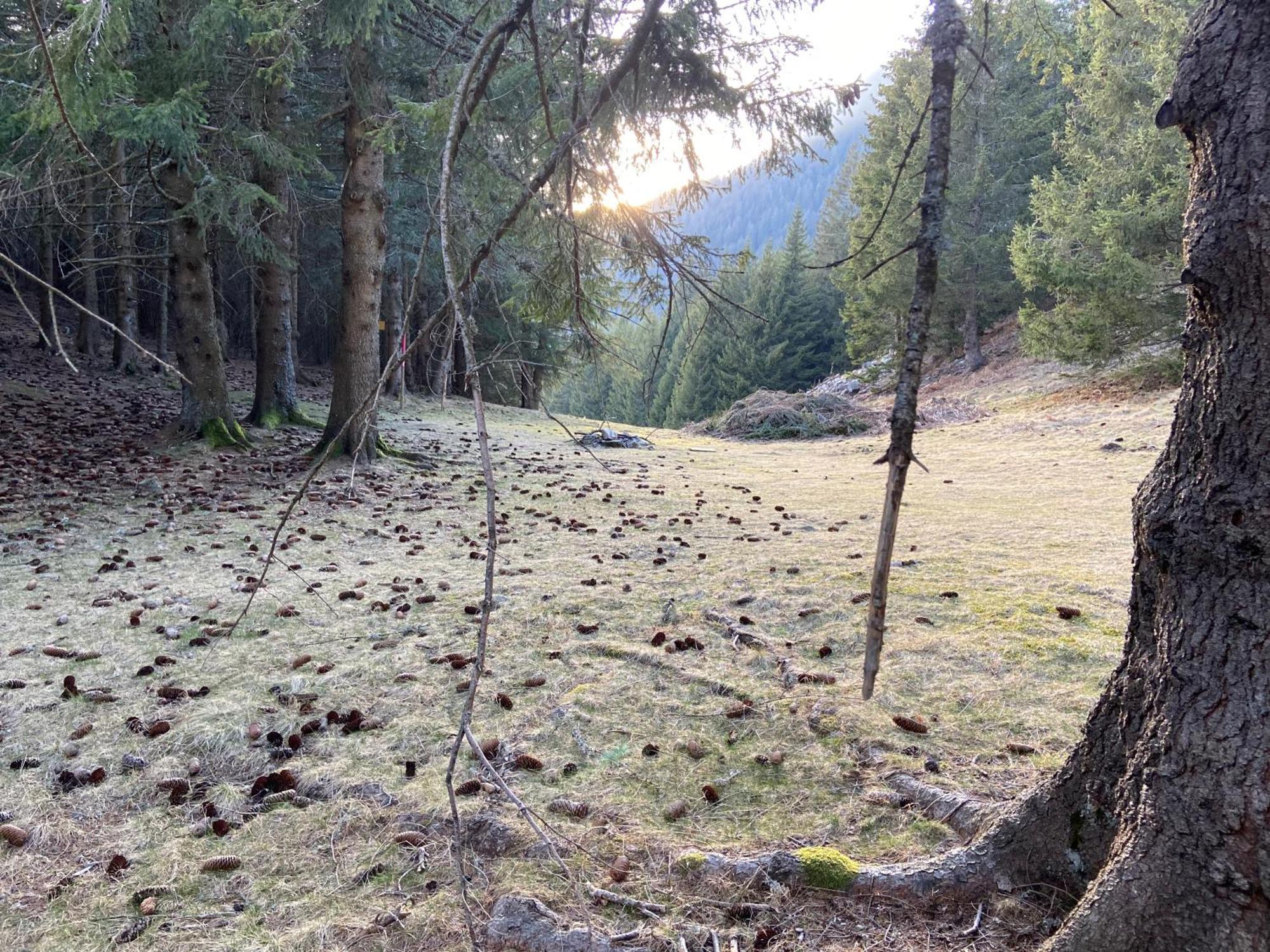 Do-Minus Mountain Cottage&mini spa Monte Carasso Esterno foto